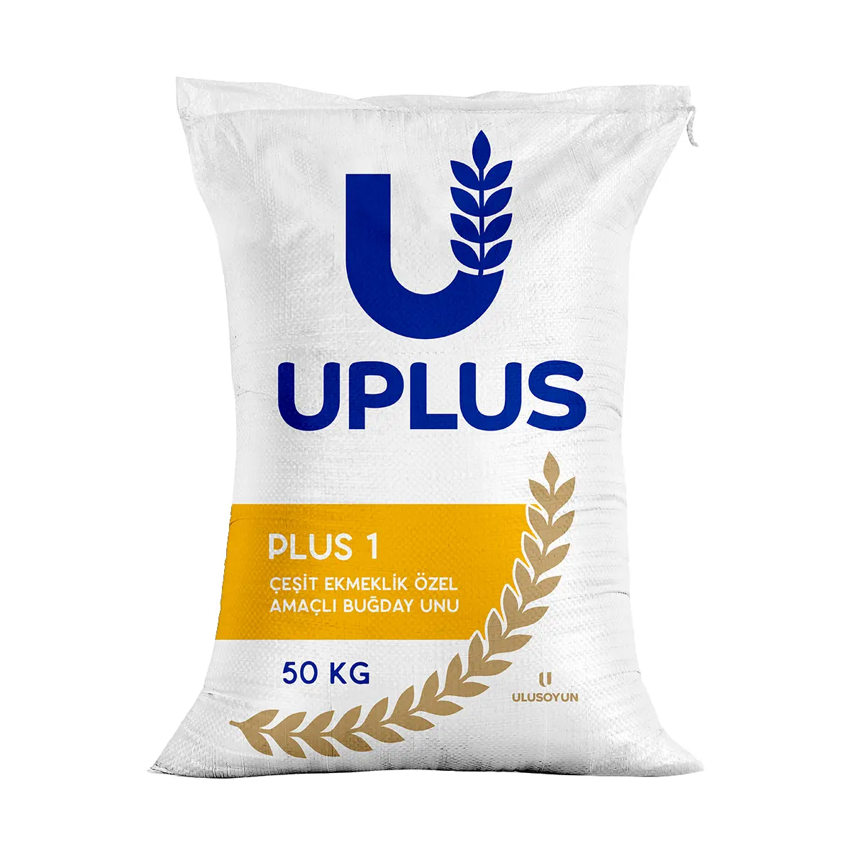 PLUS 1