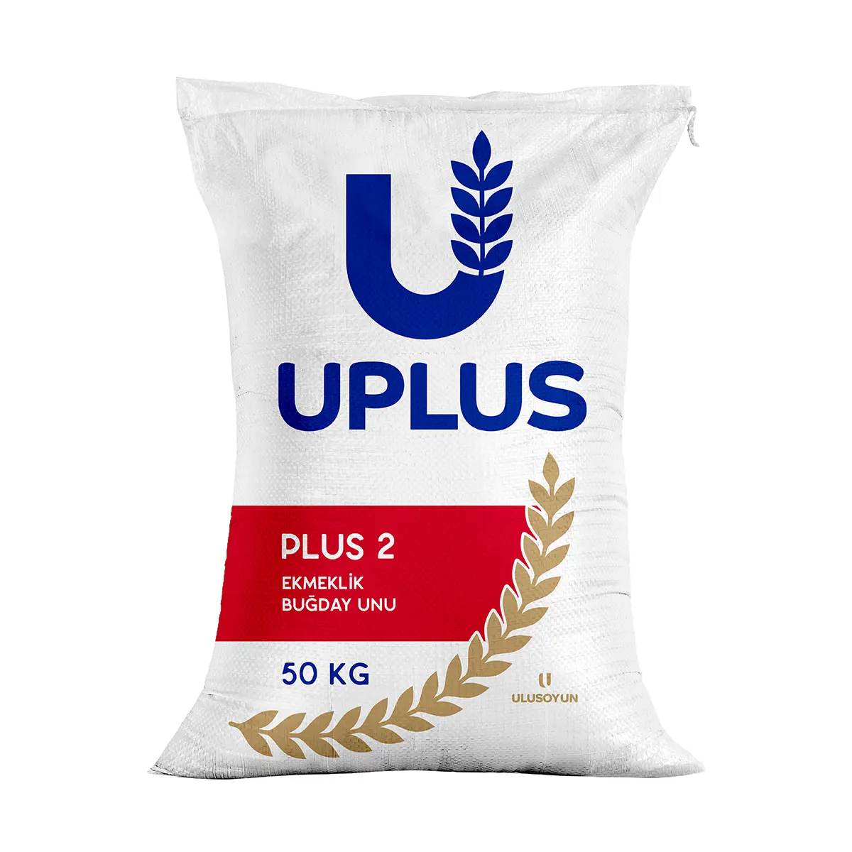 PLUS 2