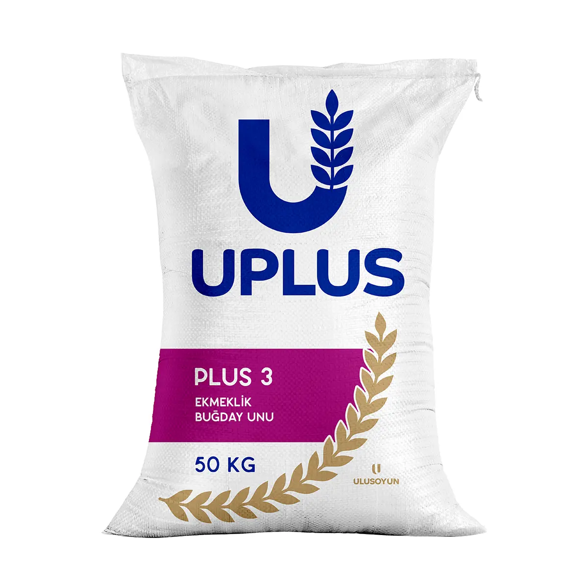 PLUS 3