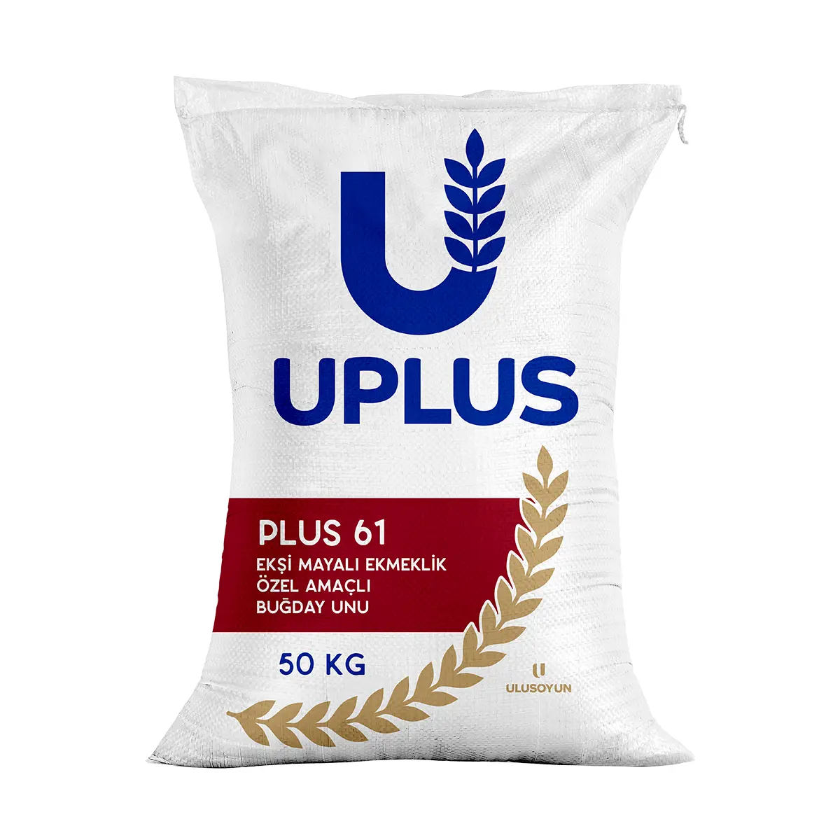 PLUS 61